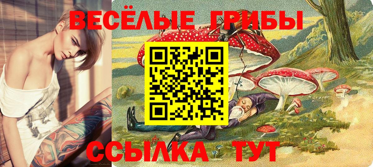 Галлюциногенные грибы Psilocybe  Псилоцибиновые грибы Psilocybe  Кашира  Вход с VPN 